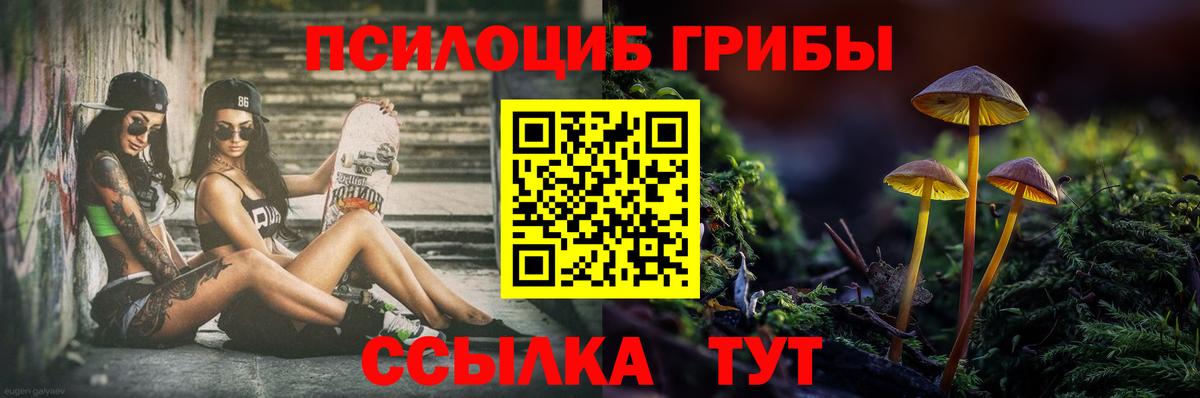 Санкт-Петербург  Галлюциногенные грибы GOLDEN TEACHER  Вход с VPN 